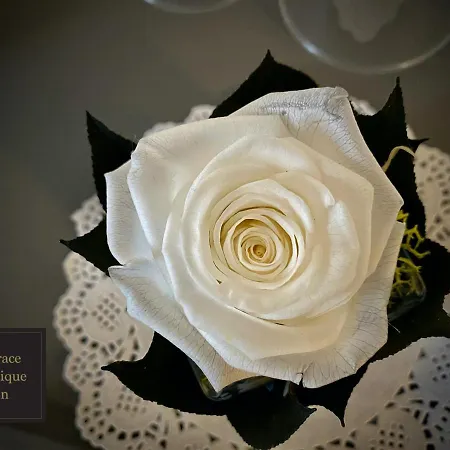 Vendégház Terrace Boutique 4*