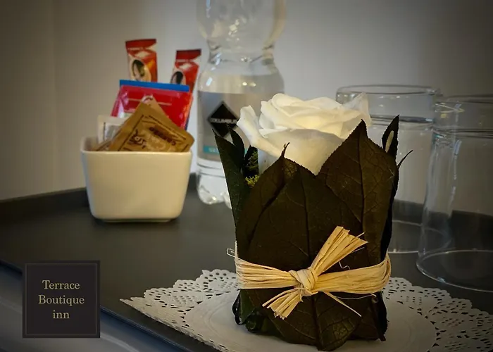 Terrace Boutique 4* 로마