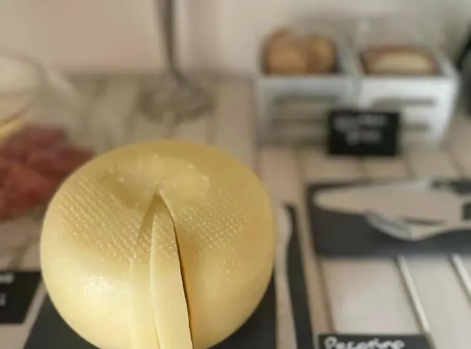 Terrace Boutique 게스트하우스 4*